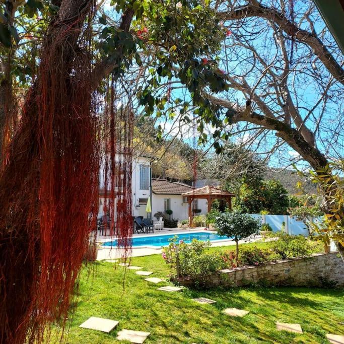 Villa Casat5, Ferias, Piscina Privativa. Agueda, Aveiro Exterior foto