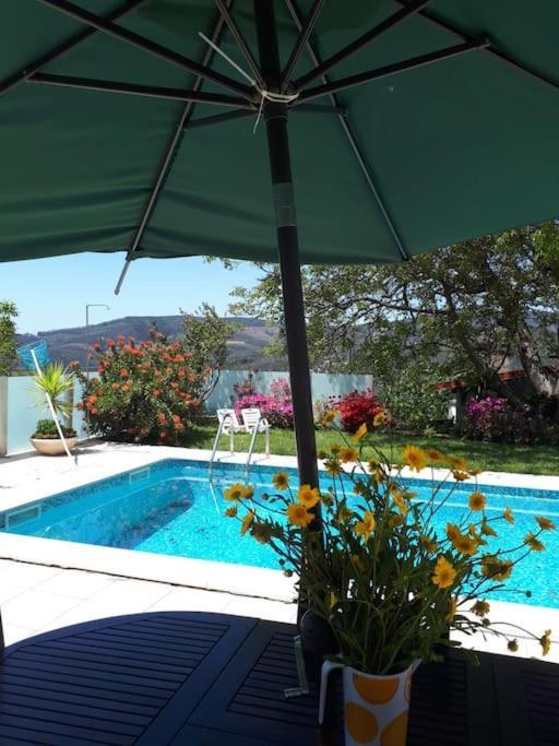 Villa Casat5, Ferias, Piscina Privativa. Agueda, Aveiro Exterior foto