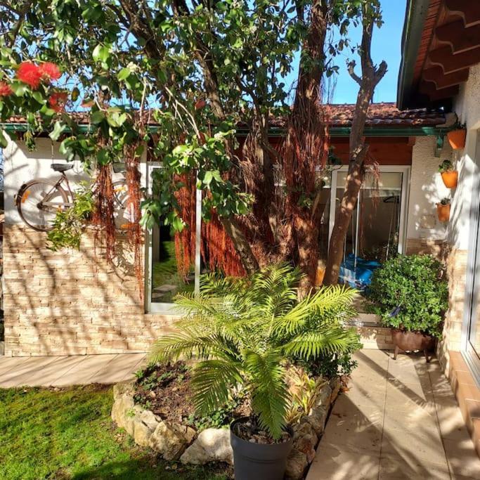 Villa Casat5, Ferias, Piscina Privativa. Agueda, Aveiro Exterior foto
