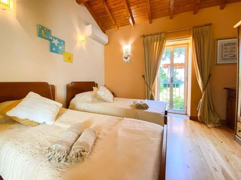 Villa Casat5, Ferias, Piscina Privativa. Agueda, Aveiro Exterior foto