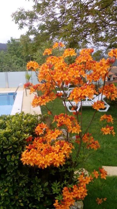 Villa Casat5, Ferias, Piscina Privativa. Agueda, Aveiro Exterior foto